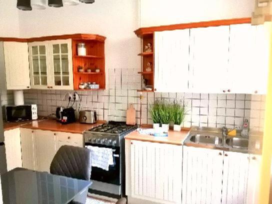 Appartement Free Garage Parking, Ac And Bikes In The Downtown à Budapest Extérieur photo